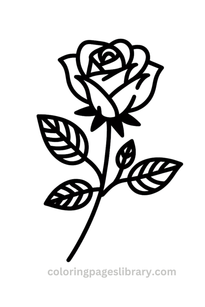 Rose coloring page for kids