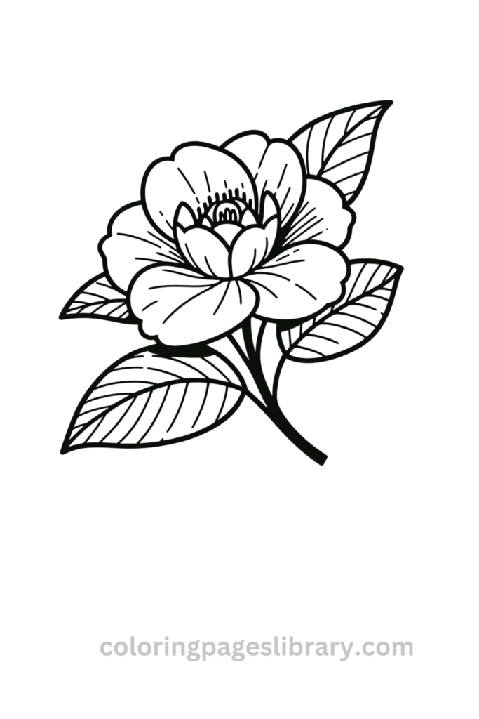 Easy Camellia coloring page