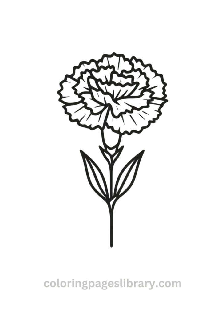 Easy Carnation coloring page