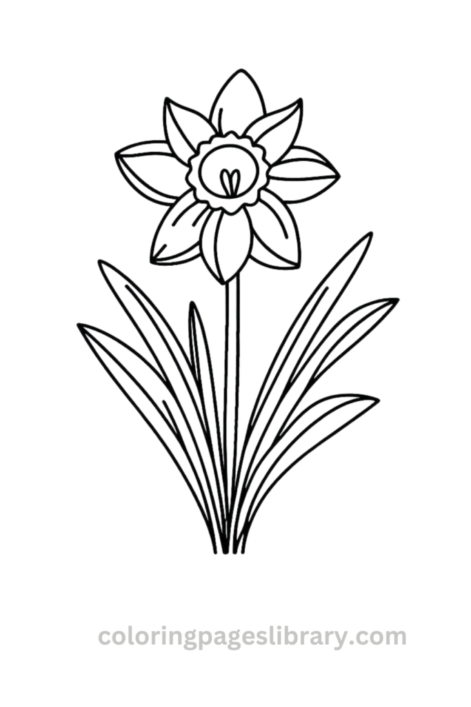 Easy Daffodil coloring sheet