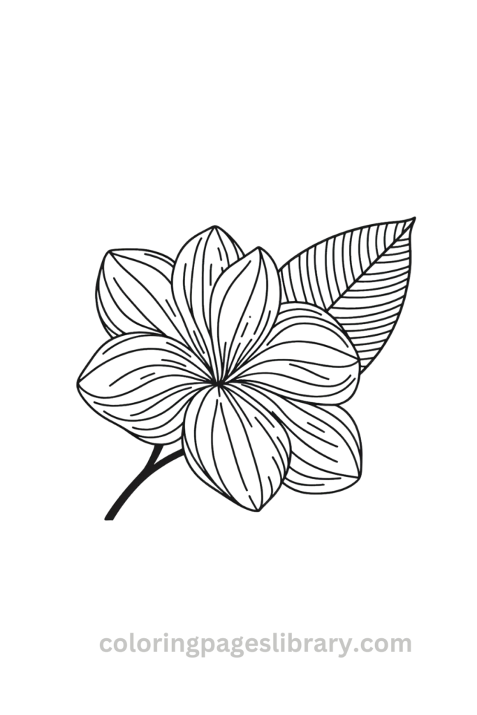 Easy Gardenia coloring sheet