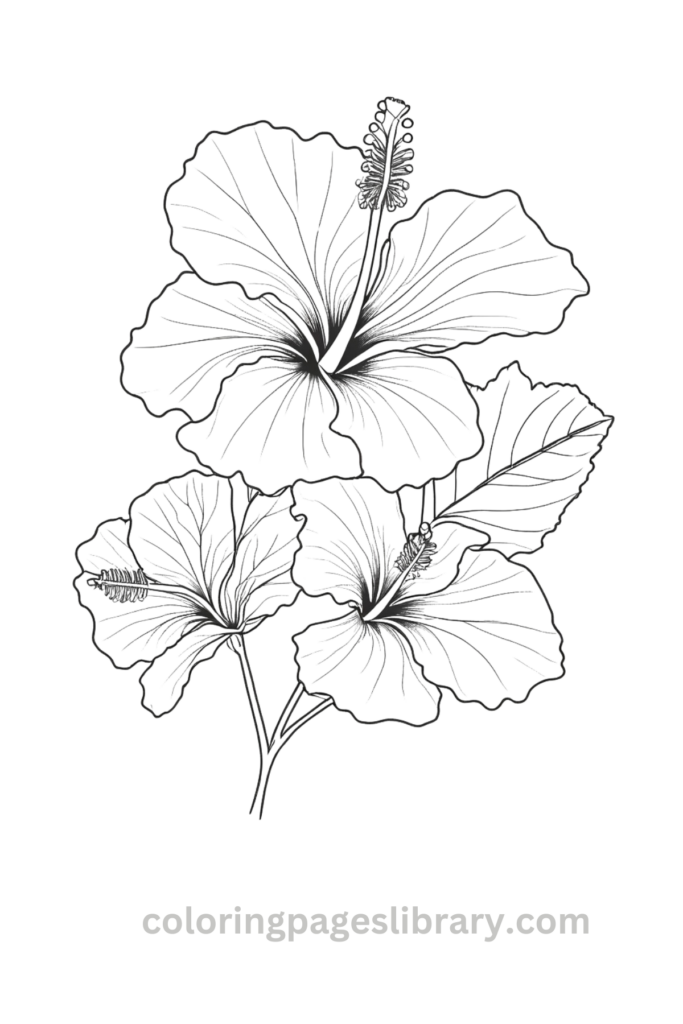 Easy Hibiscus coloring page