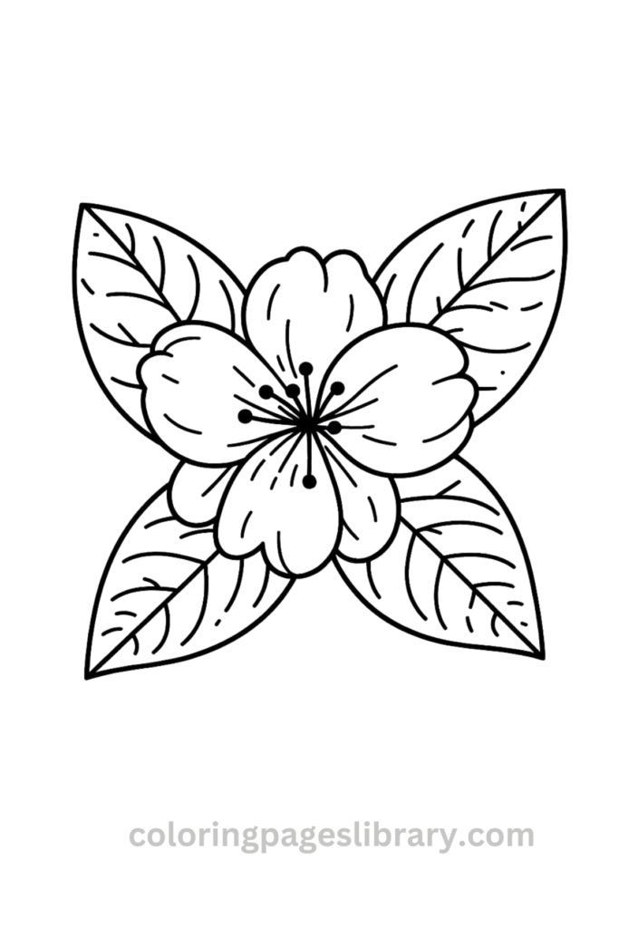 Easy Jasmine coloring sheet
