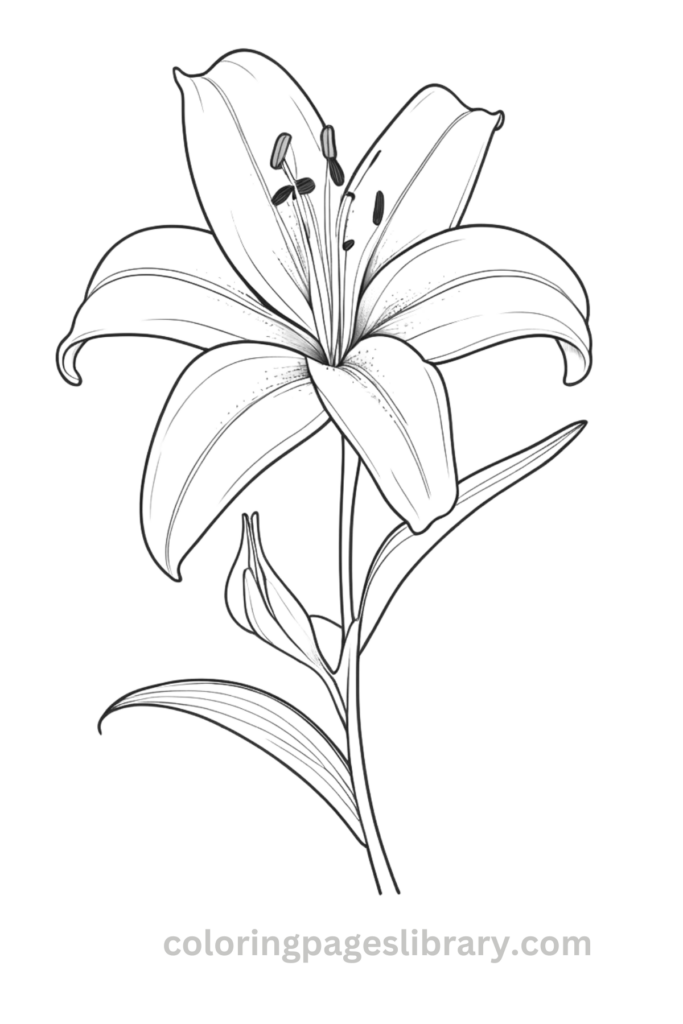 Easy Lily coloring page