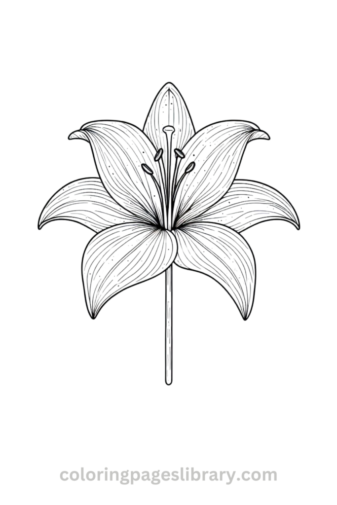 Easy Lily coloring sheet