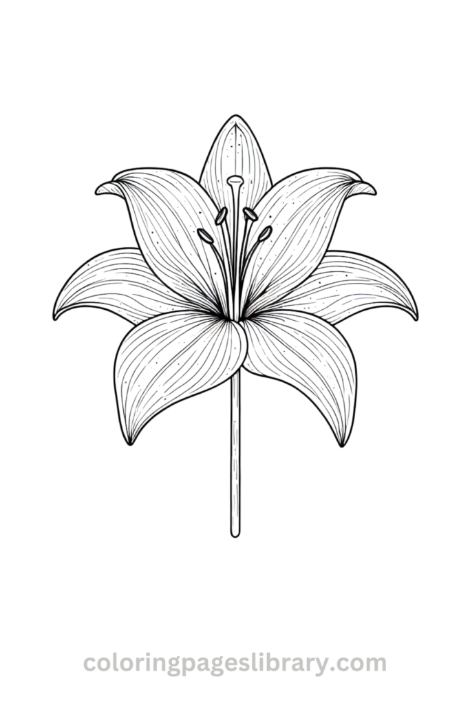 Free Printable Lily Coloring Pages For Kids