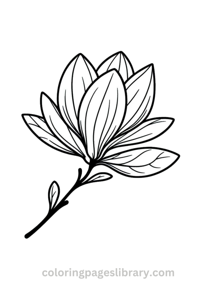 Easy Magnolia coloring page