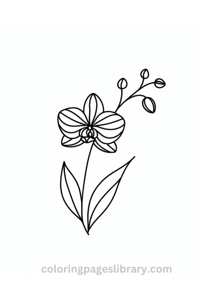 Easy Orchid coloring page