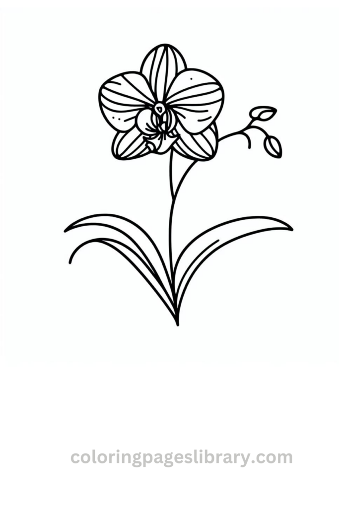 Easy Orchid coloring sheet