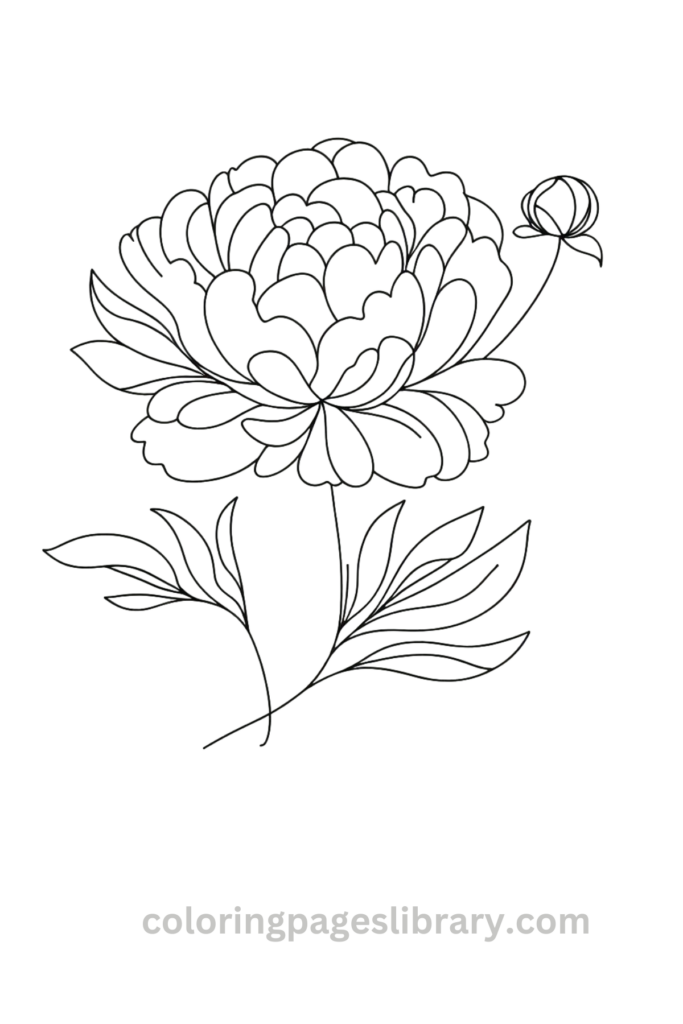 Easy Peony coloring sheet