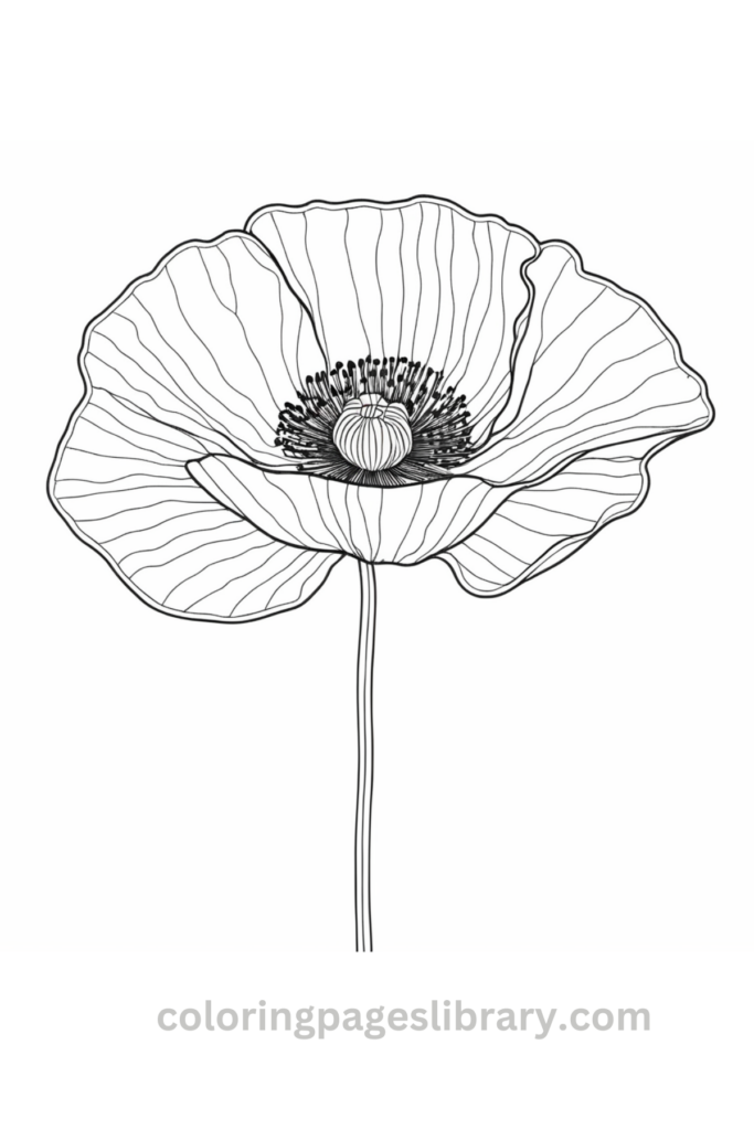 Easy Poppy coloring page