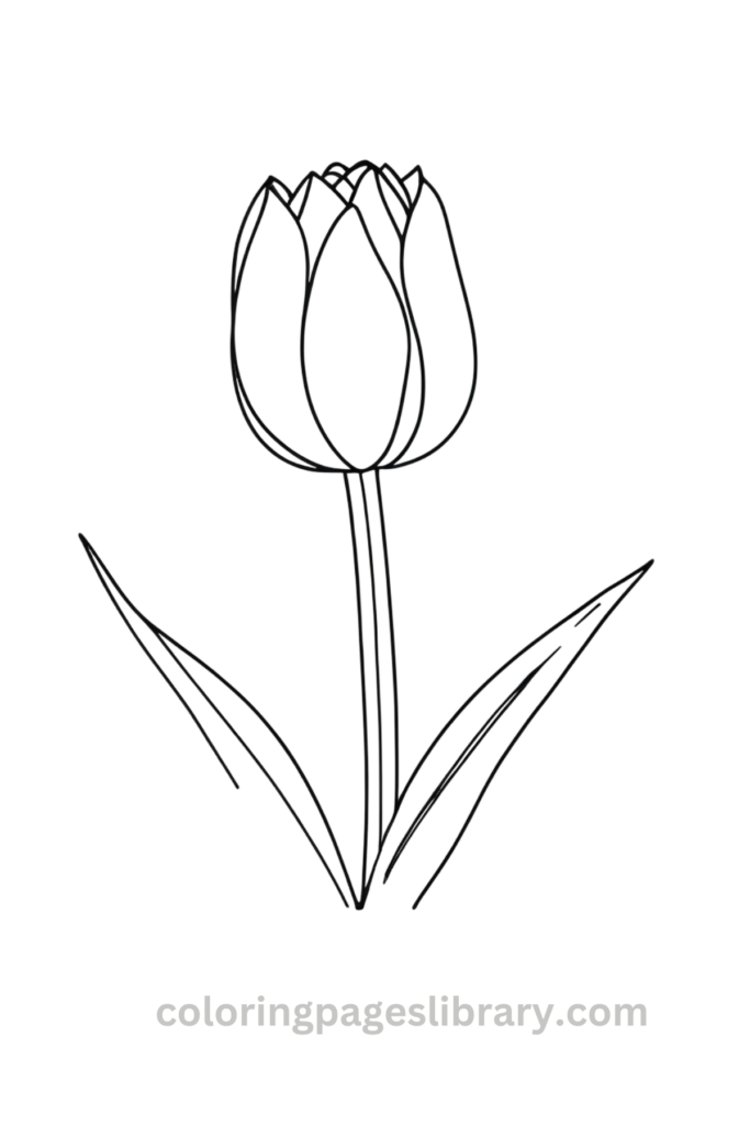 Easy Tulip coloring sheet