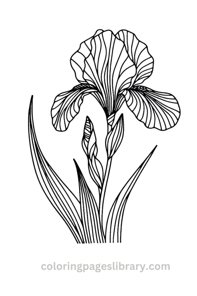 Free Printable Iris Coloring Pages For Kids