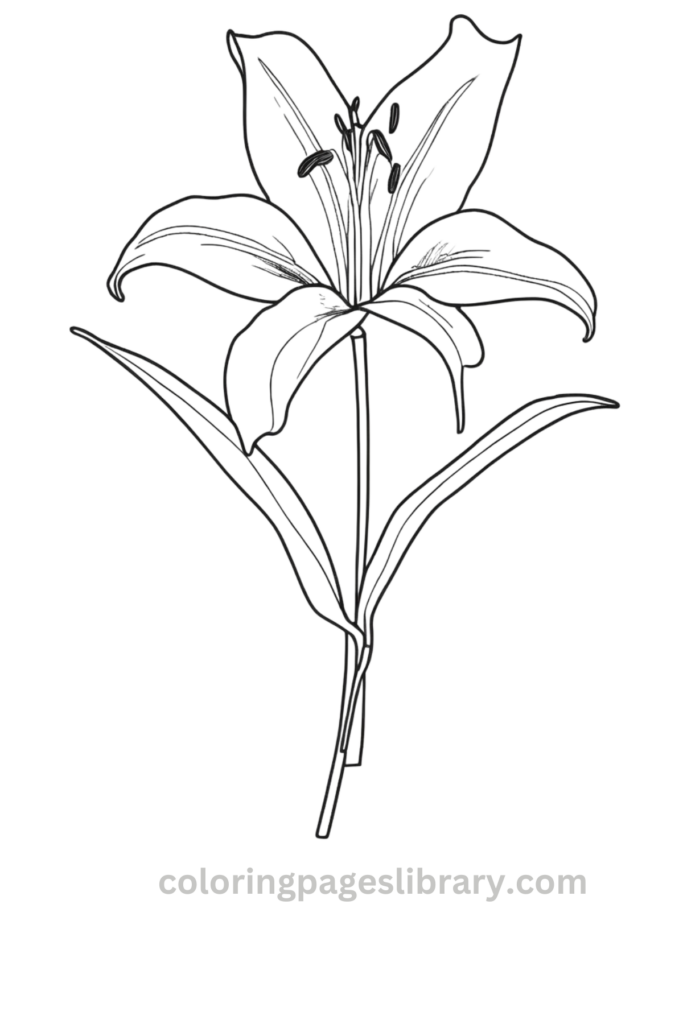 Easy and simple Lily coloring sheet