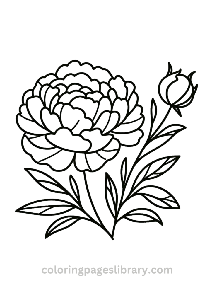 Easy and simple Peony coloring sheet
