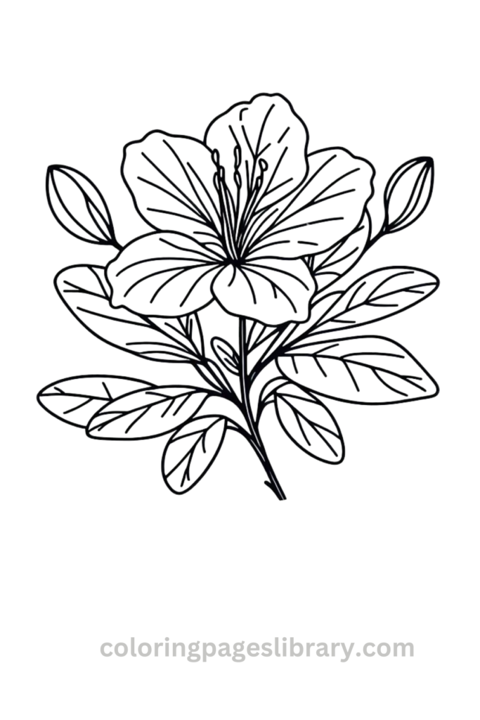 Free Azalea coloring page for kids
