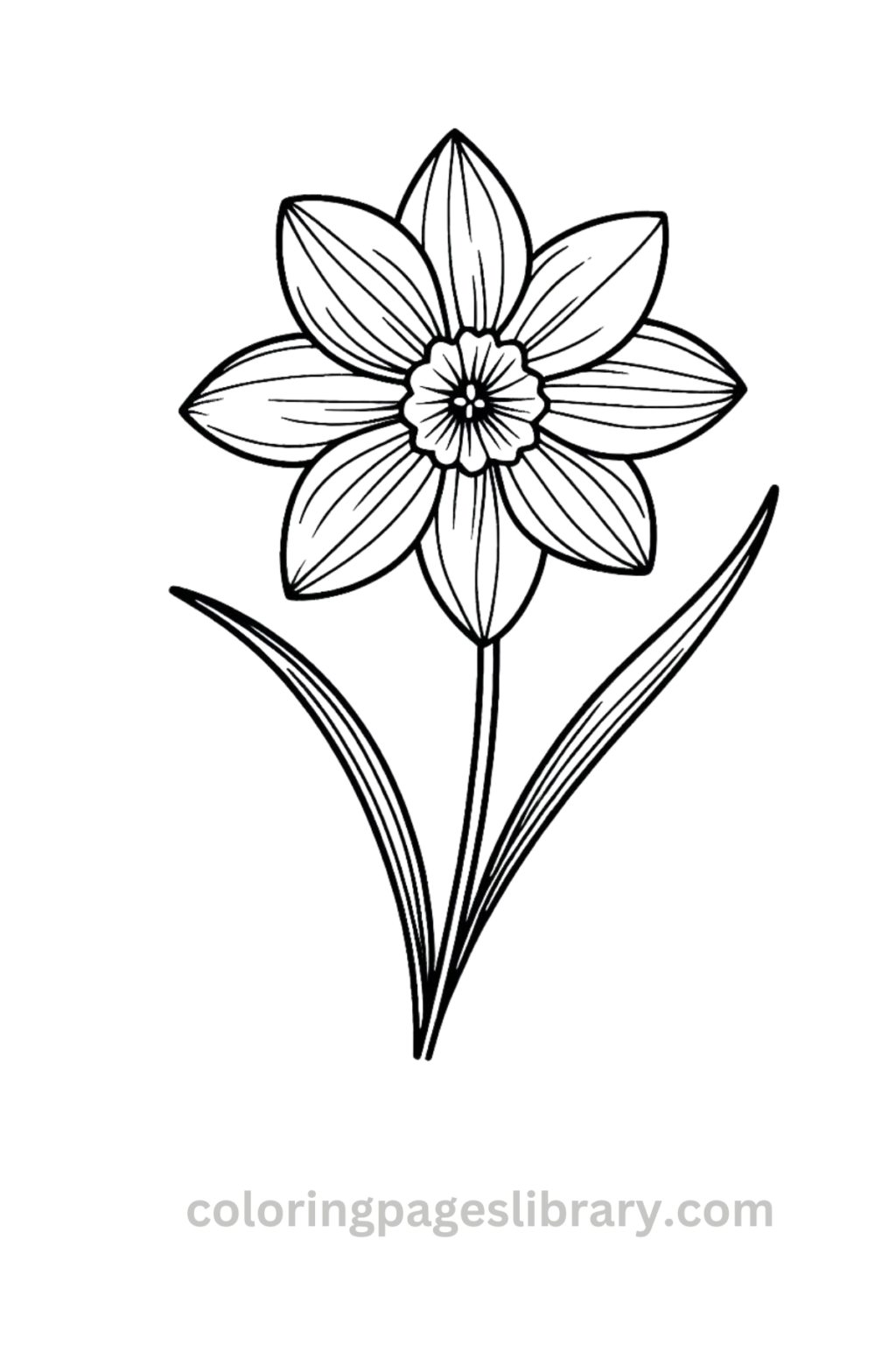 Free Printable Daffodil Coloring Pages For Kids