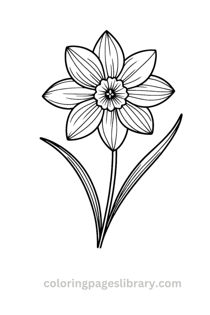 Free Daffodil coloring page for kids