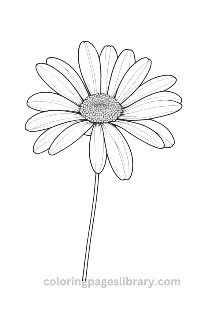 Free Daisy coloring page for kids