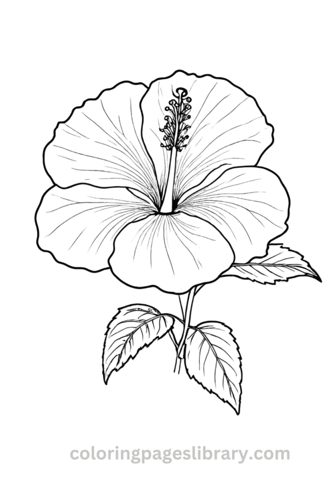 Free Hibiscus coloring page for kids