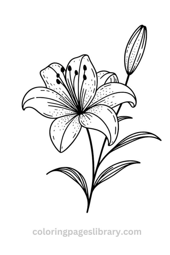 Free Lily coloring page for kids