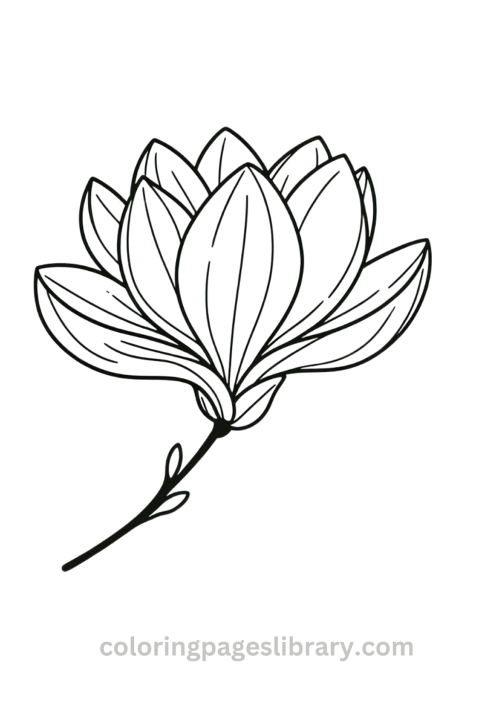Free Magnolia coloring page for kids