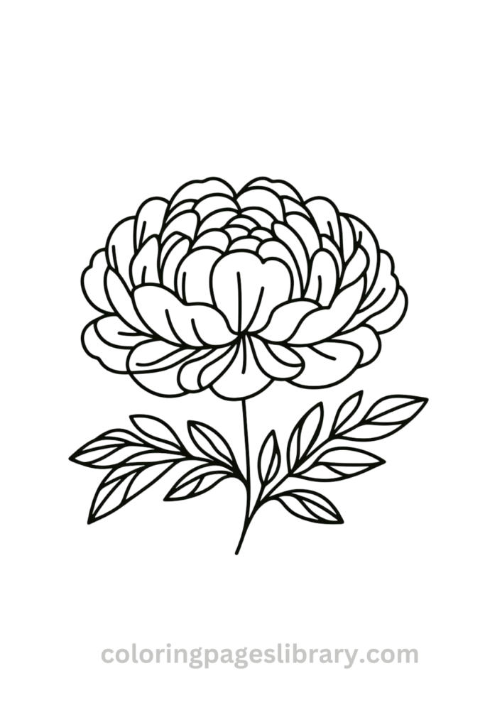 Free Peony coloring page for kids