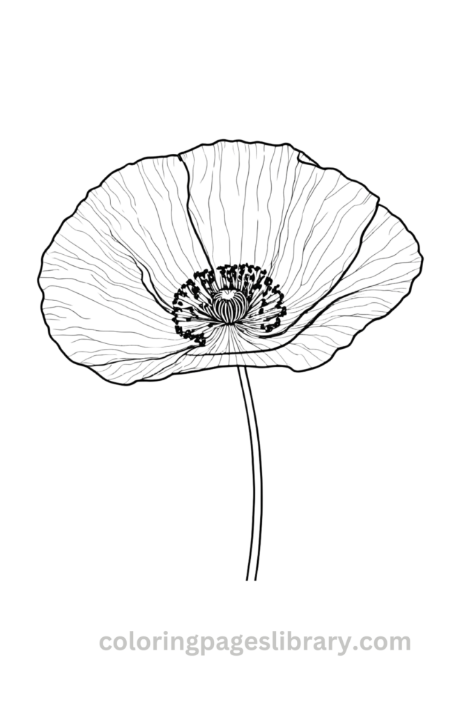 Free Poppy coloring page for kids