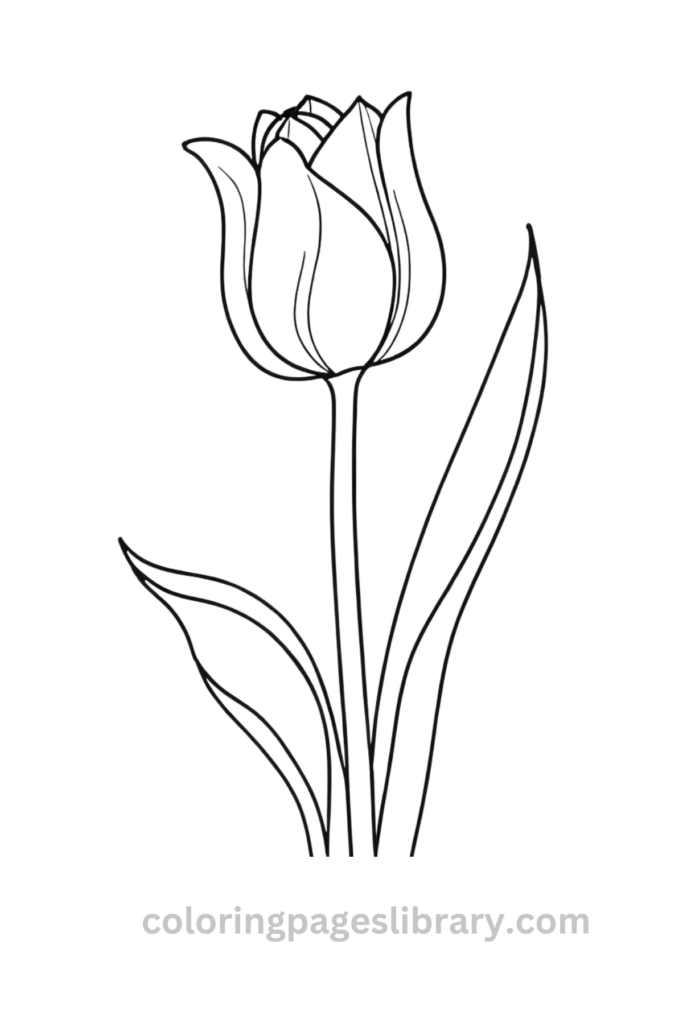 Free Tulip coloring page for kids