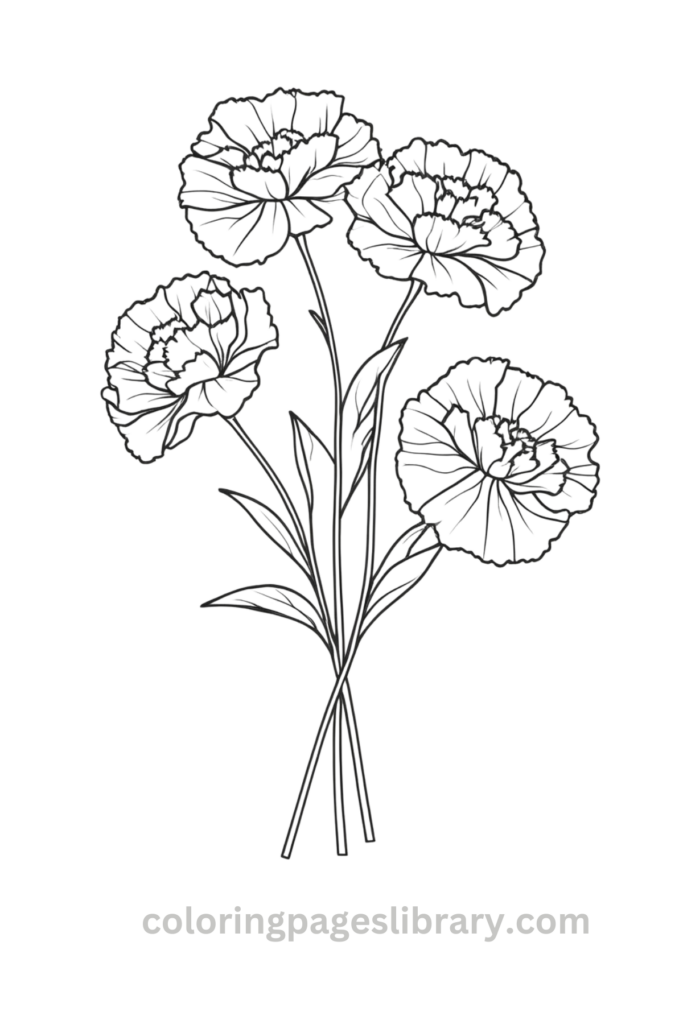 Free and easy Carnation bouquet coloring page