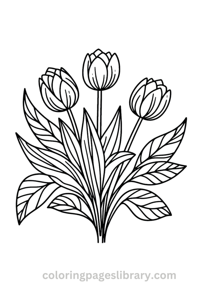 Free and easy Tulip bouquet coloring page