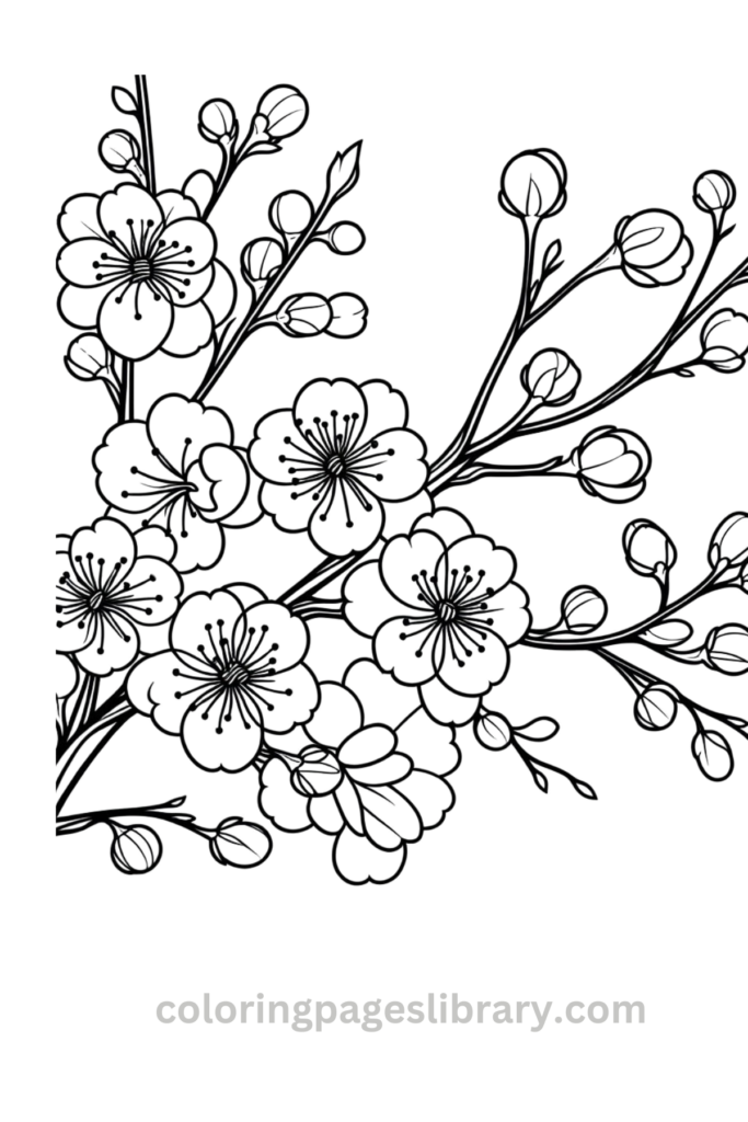 Free downloadable Cherry blossom coloring pages