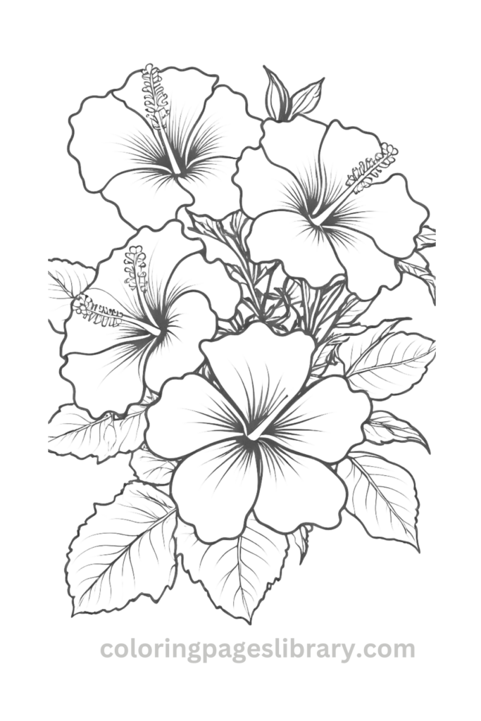 Free downloadable Hibiscus coloring pages
