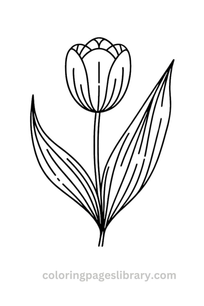 Free downloadable Tulip coloring pages