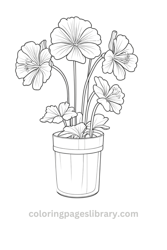 Free printable Geranium coloring page for kids