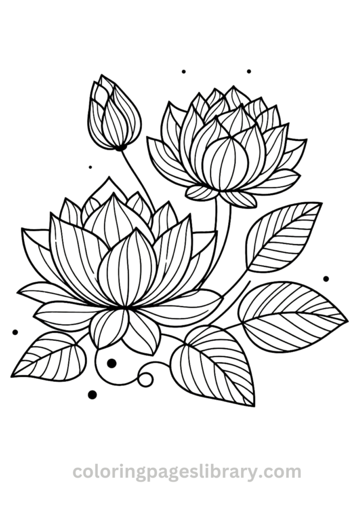 Free printable Lotus flowers coloring page for kids