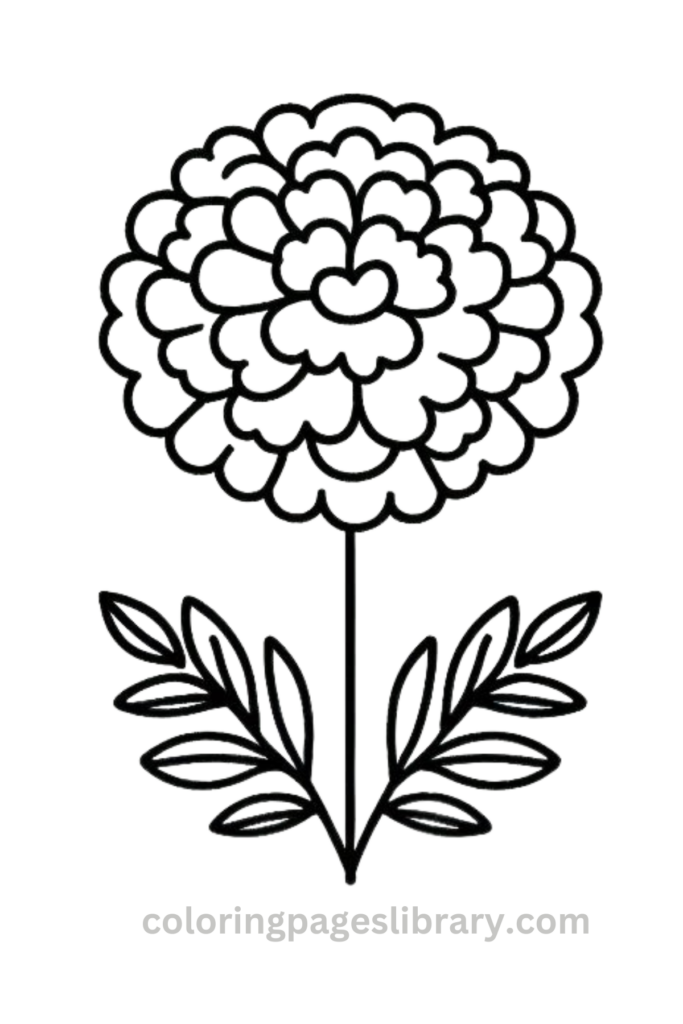 Free printable Marigold coloring page for kids