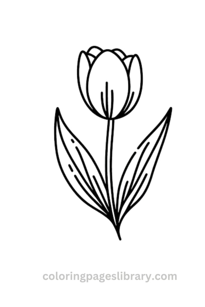 Free printable Tulip coloring page for kids
