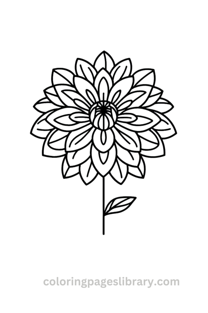 Line art Dahlia coloring page for children