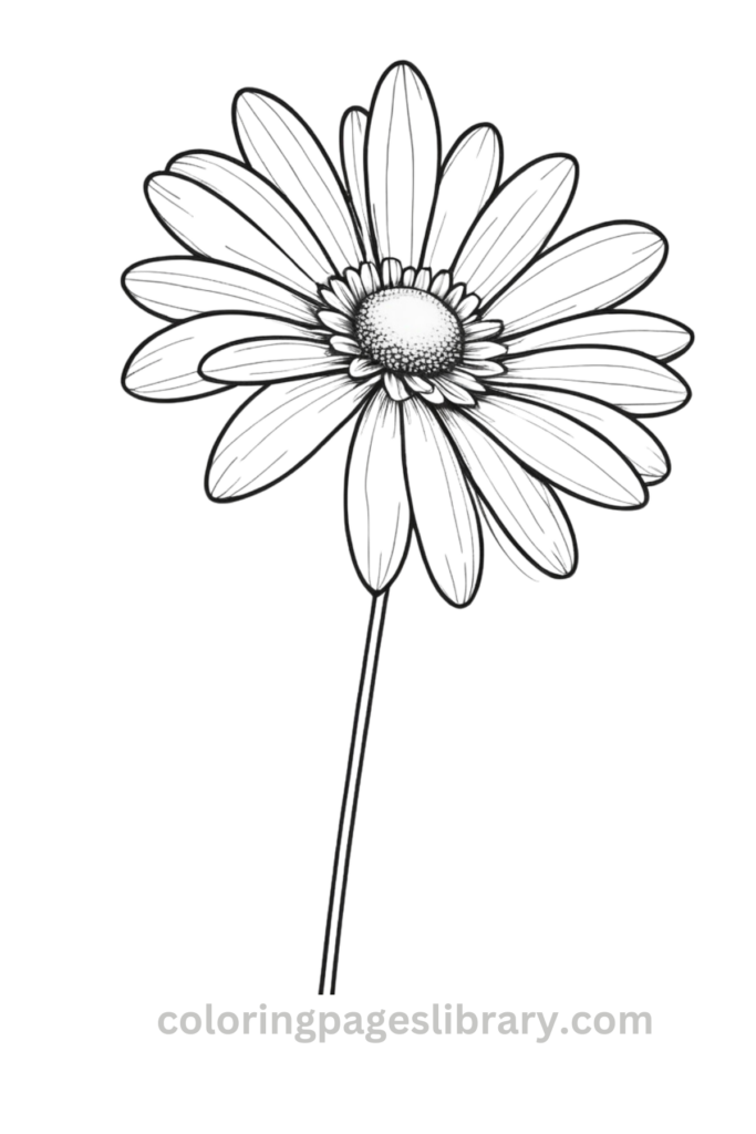Line art Daisy coloring page for children