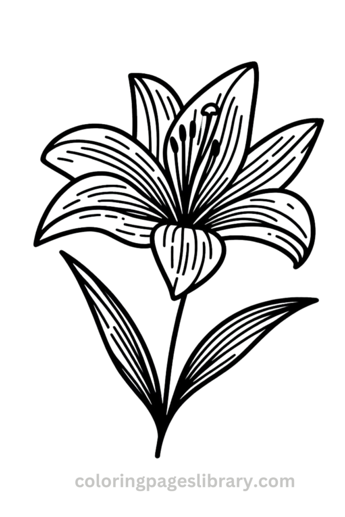 Line art Lily coloring page for children