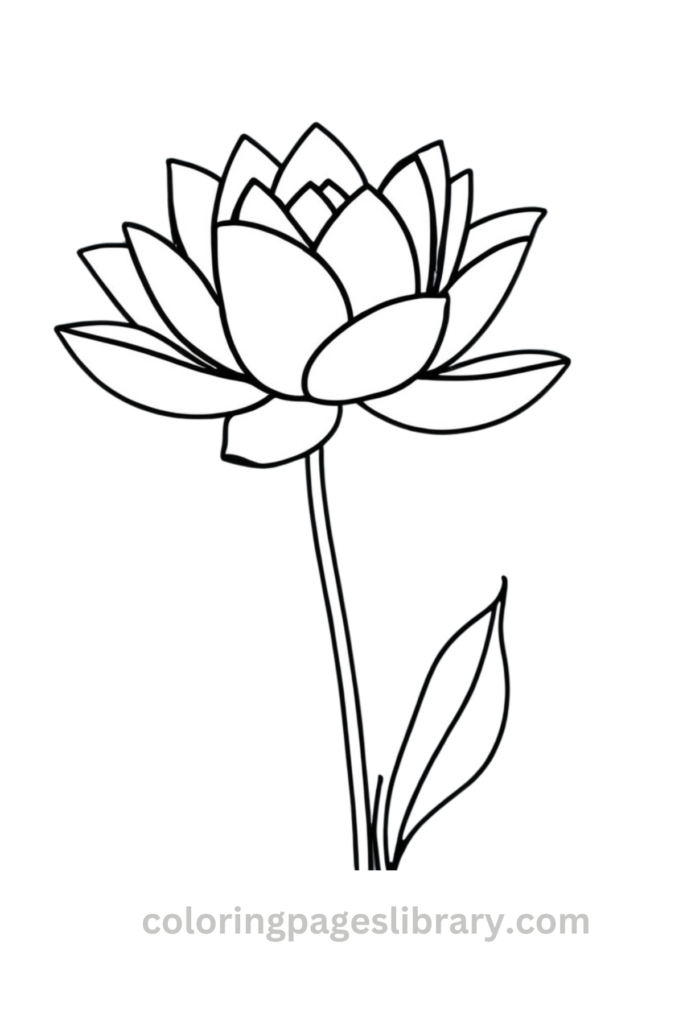Line art Lotus flower coloring page for children