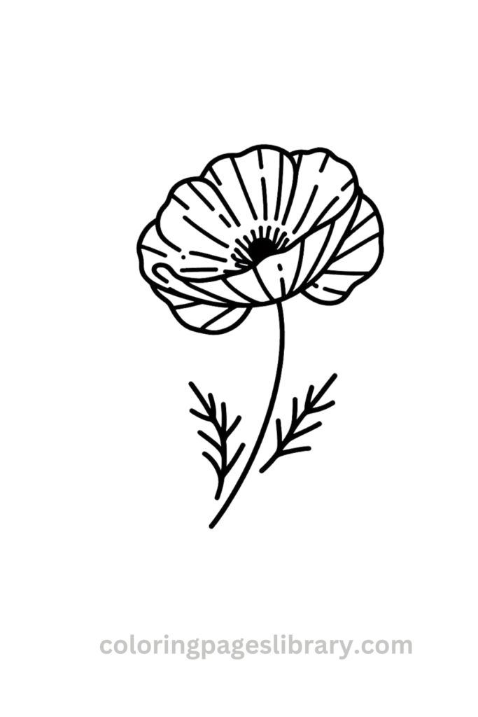 Line art Poppy coloring page for children
