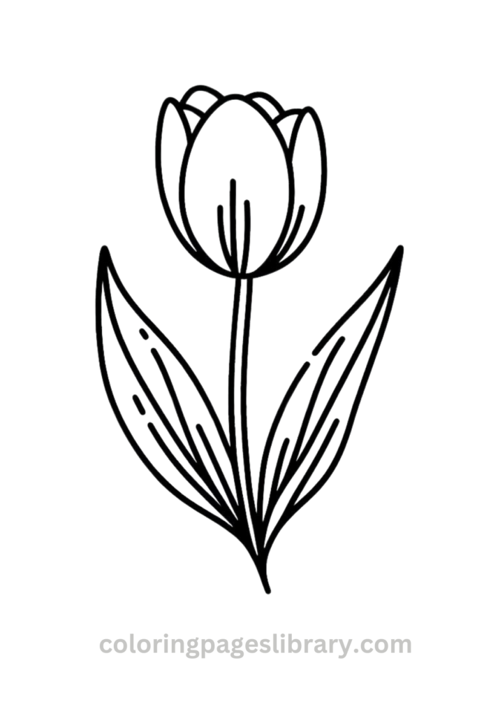 Line art Tulip coloring page for children