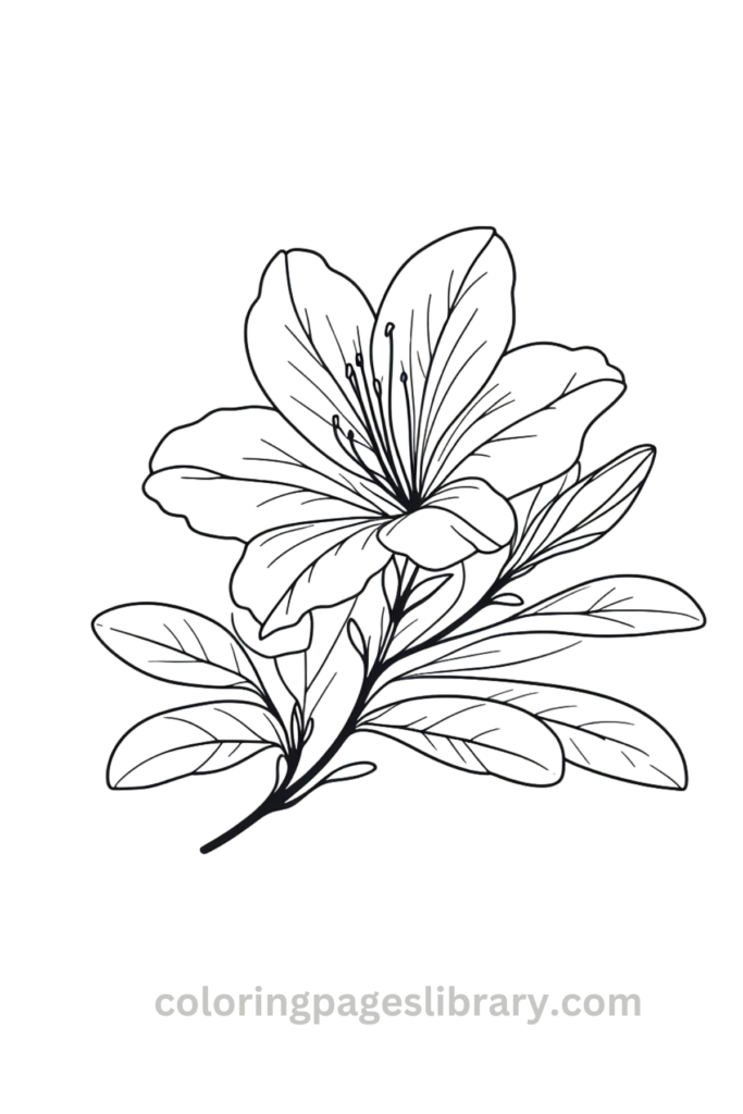 Printable Azalea coloring page for children