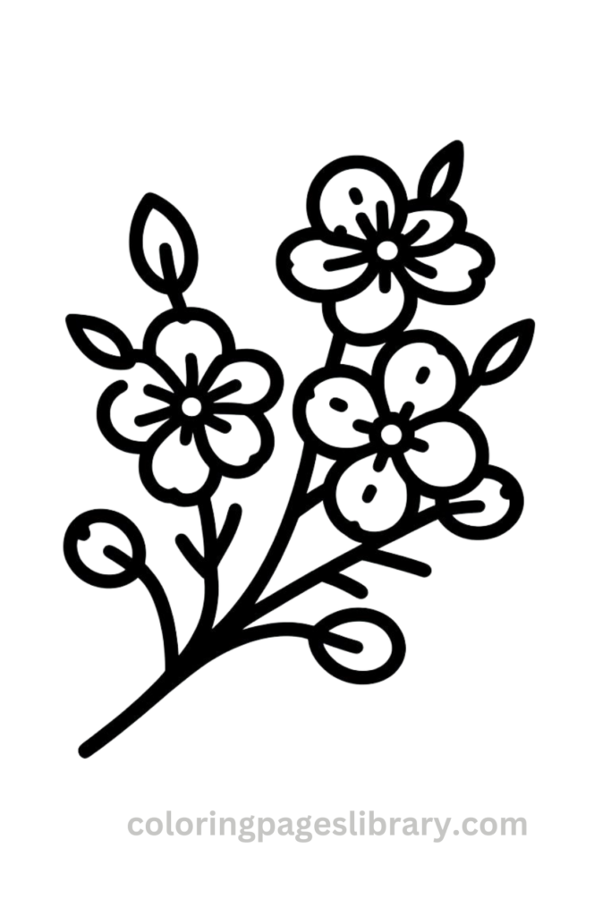 Printable Cherry blossom coloring page for children