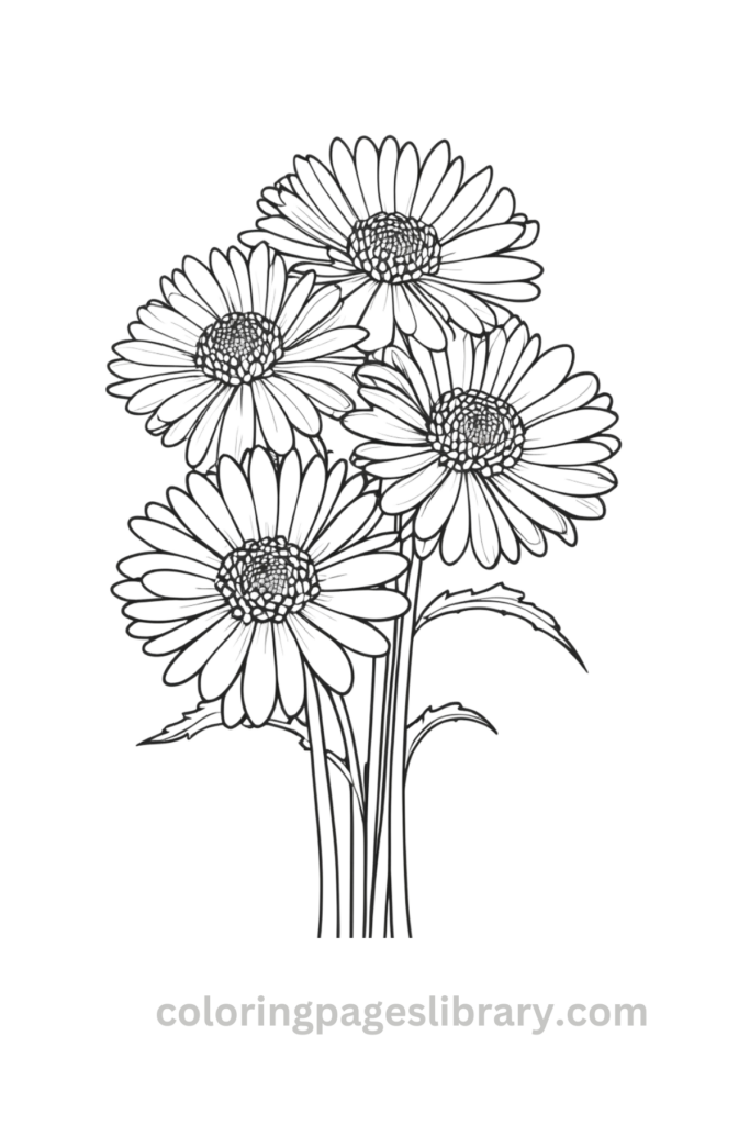 Printable Chrysanthemum bouquet coloring page