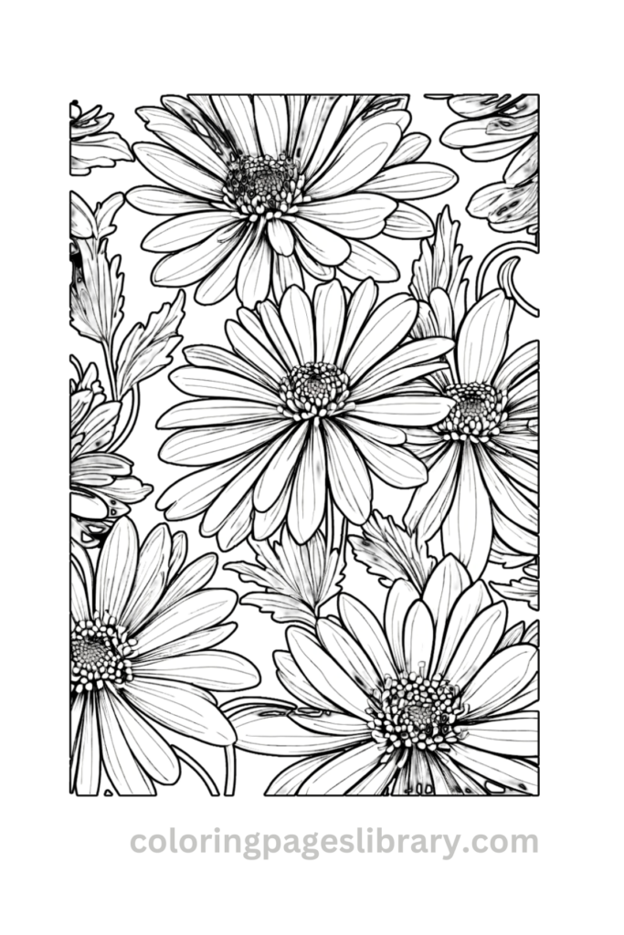 Printable Chrysanthemum coloring page for children