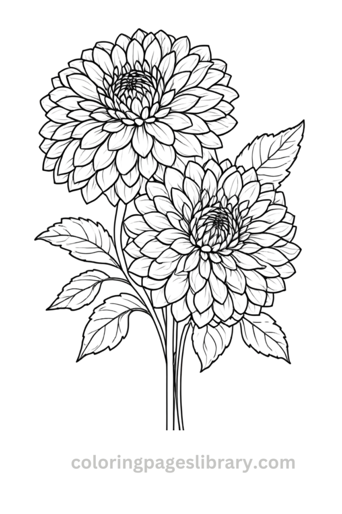 Printable Dahlia bouquet coloring page