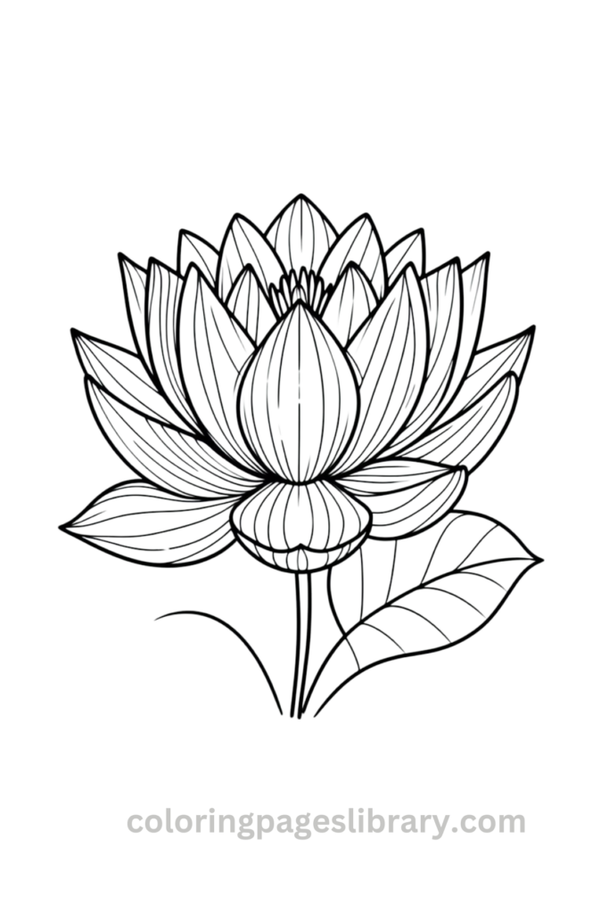 Printable Lotus flower coloring pages